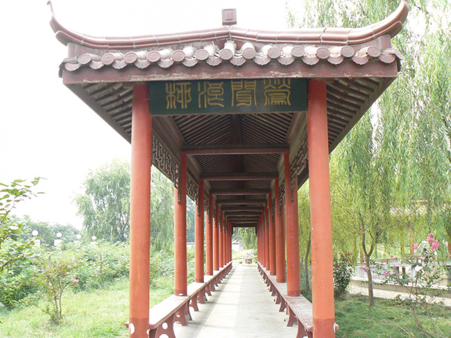 校园风景